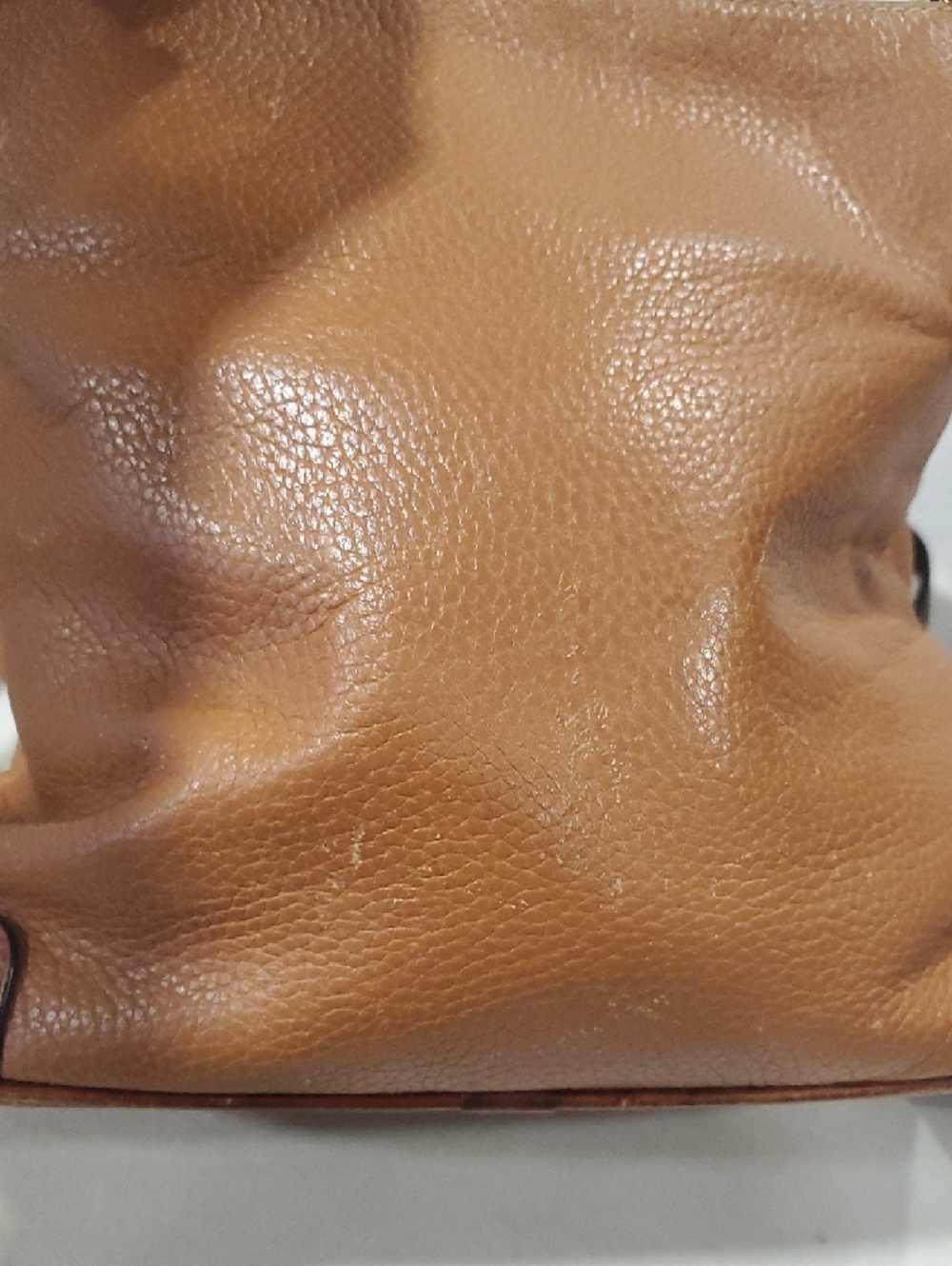 Dooney & Bourke All Weath Camel/Tan Pebbled Leather Crossbody with Gold Hardware - Picture 5 of 10